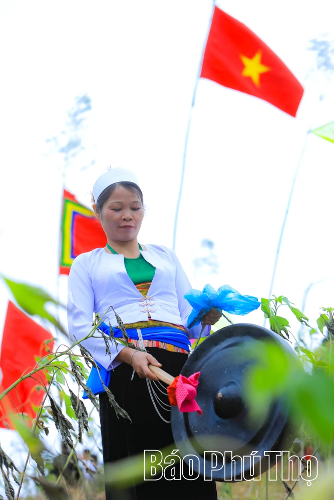 Mùa lúa chín Miền Đồi - điểm hẹn văn hóa Mường