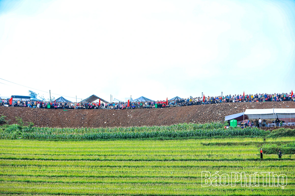 Mùa lúa chín Miền Đồi - điểm hẹn văn hóa Mường