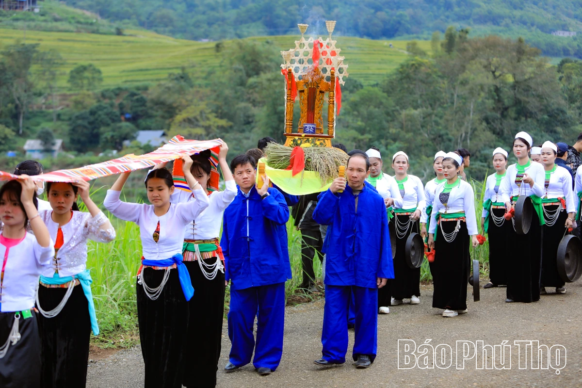 Mùa lúa chín Miền Đồi - điểm hẹn văn hóa Mường