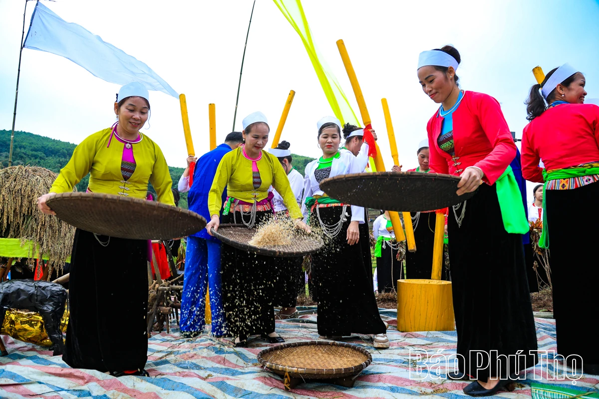 Mùa lúa chín Miền Đồi - điểm hẹn văn hóa Mường