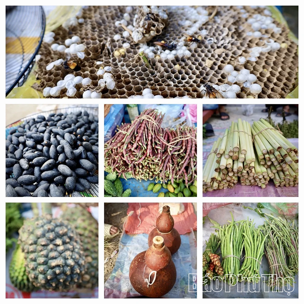 The Allure of Lai Dong Periodic Market
