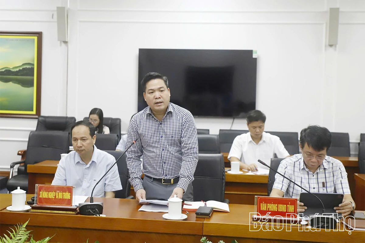 Sơ kết công tác phòng, chống bệnh Dịch tả lợn châu Phi