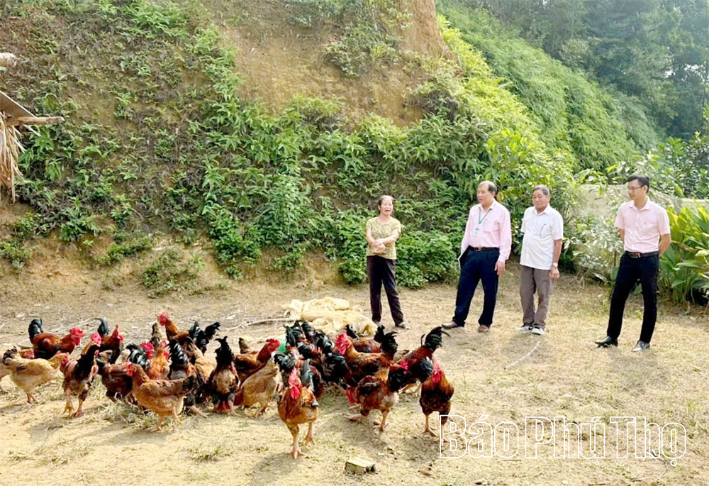 Tạo nguồn vốn, giúp người dân thoát nghèo