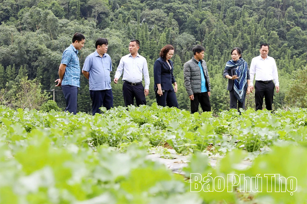 Ban Dân tộc HĐND tỉnh giám sát việc triển khai Chiến lược công tác dân tộc tại xã Vân Sơn và Toàn Thắng