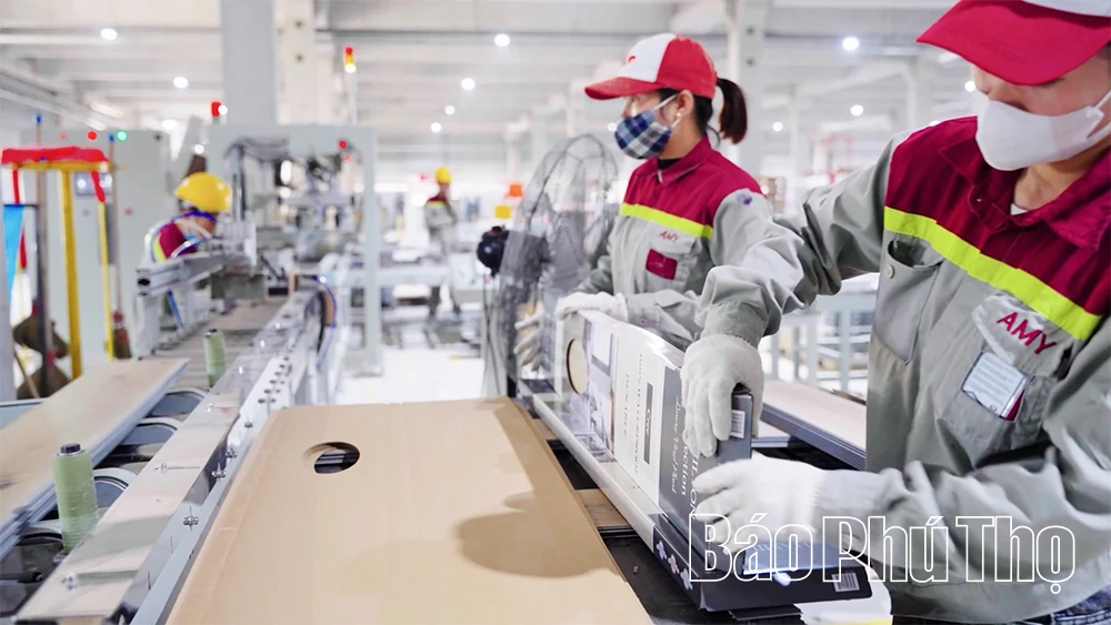 Phú Thọ và “giấy thông hành xanh”: Doanh nghiệp tìm lối đi bền vững vươn ra thế giới