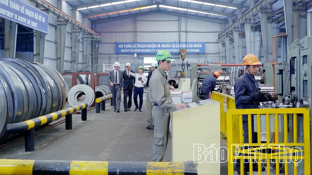 Phú Thọ và “giấy thông hành xanh”: Doanh nghiệp tìm lối đi bền vững vươn ra thế giới