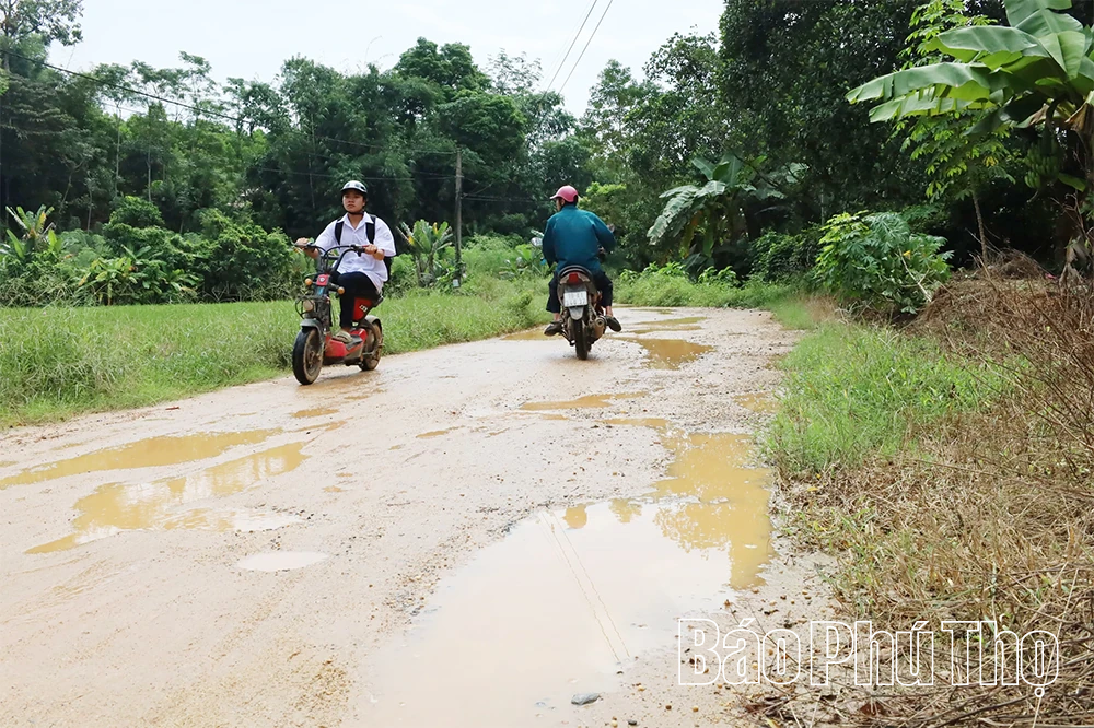 Mong ước ở Thanh Ba