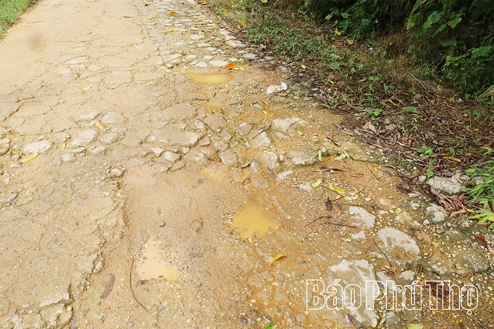 Mong ước ở Thanh Ba