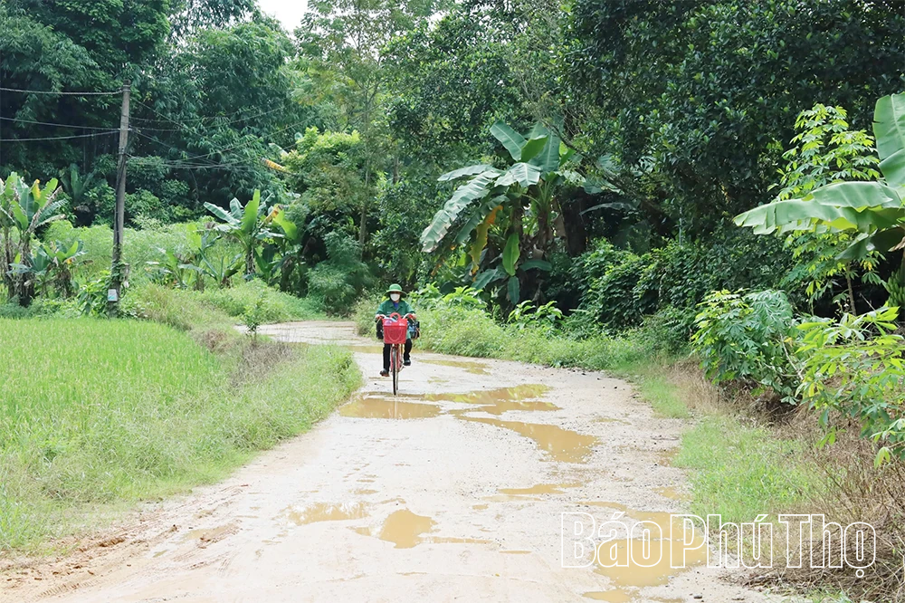 Mong ước ở Thanh Ba