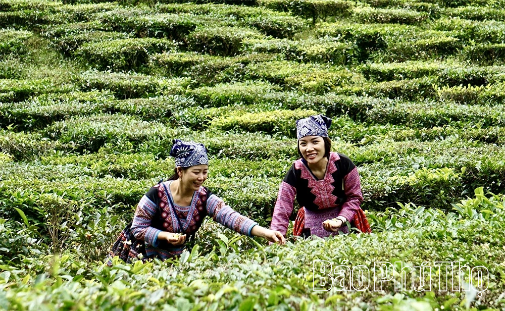 Ngày mới trên thung lũng Hang Kia