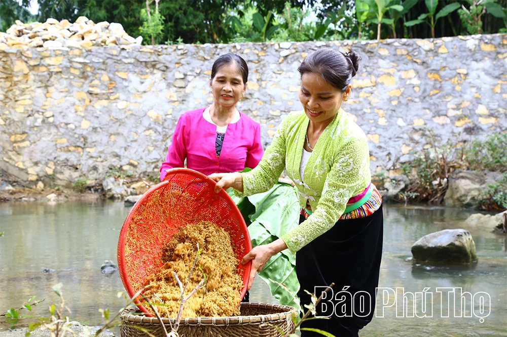 Chính sách dân tộc cải thiện đời sống người dân Toàn Thắng