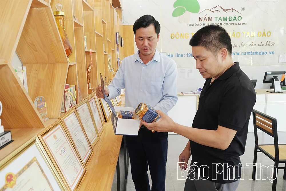 Chuyện khởi nghiệp của những “ông chủ trẻ”