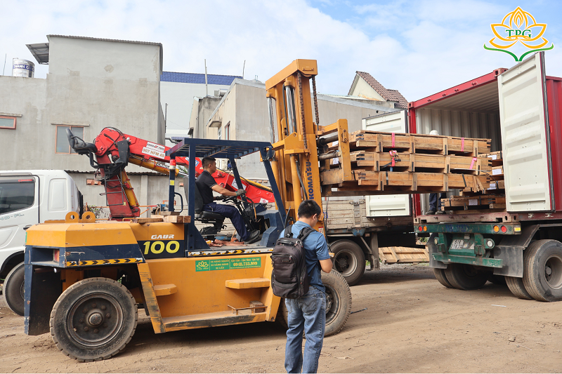 Top 5 công ty cho thuê xe nâng hàng giá tốt, uy tín