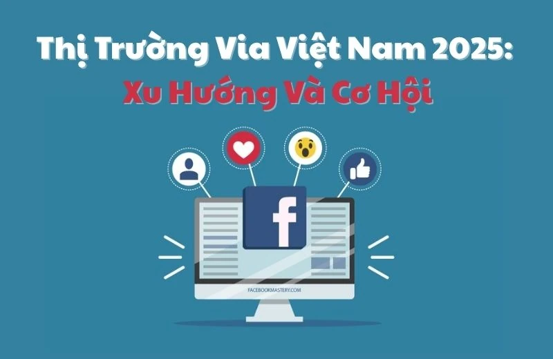Thị trường Via Việt Nam Năm 2025: Xu hướng và cơ hội đầu tư