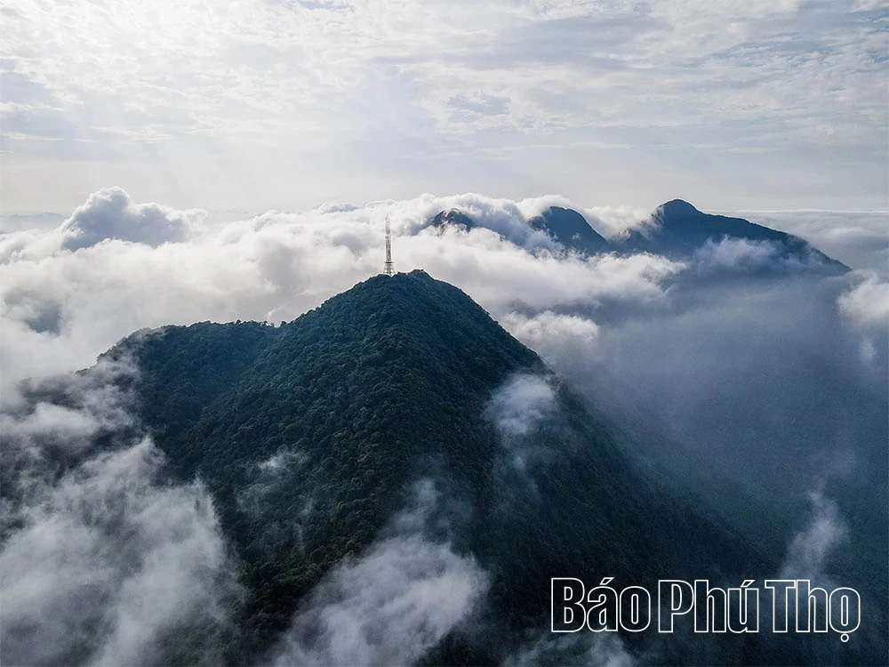 Biển mây Tam Đảo: Khoảnh khắc chạm vào kỳ ảo