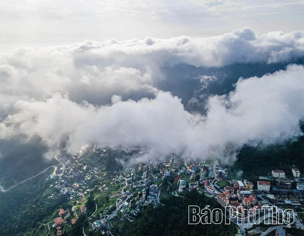 Biển mây Tam Đảo: Khoảnh khắc chạm vào kỳ ảo