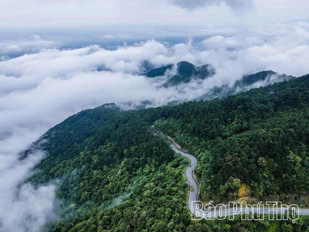 Biển mây Tam Đảo: Khoảnh khắc chạm vào kỳ ảo