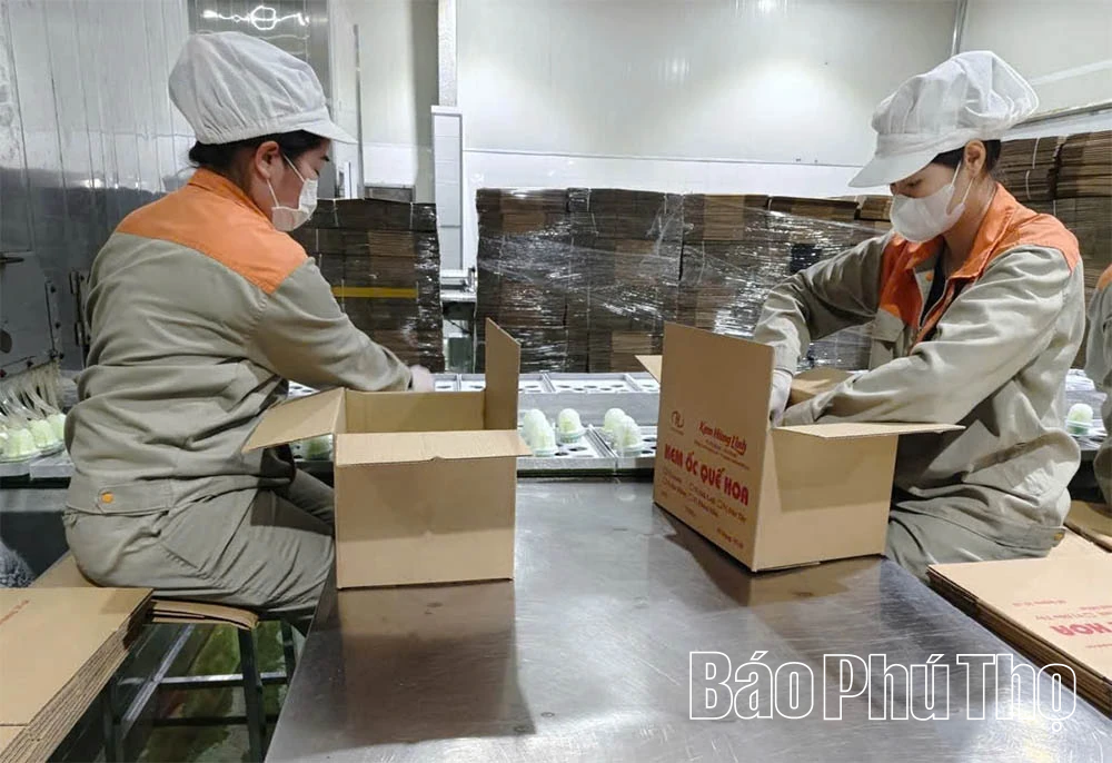 Liên Sơn khai thác hiệu quả tài nguyên, thúc đẩy phát triển CN-TTCN