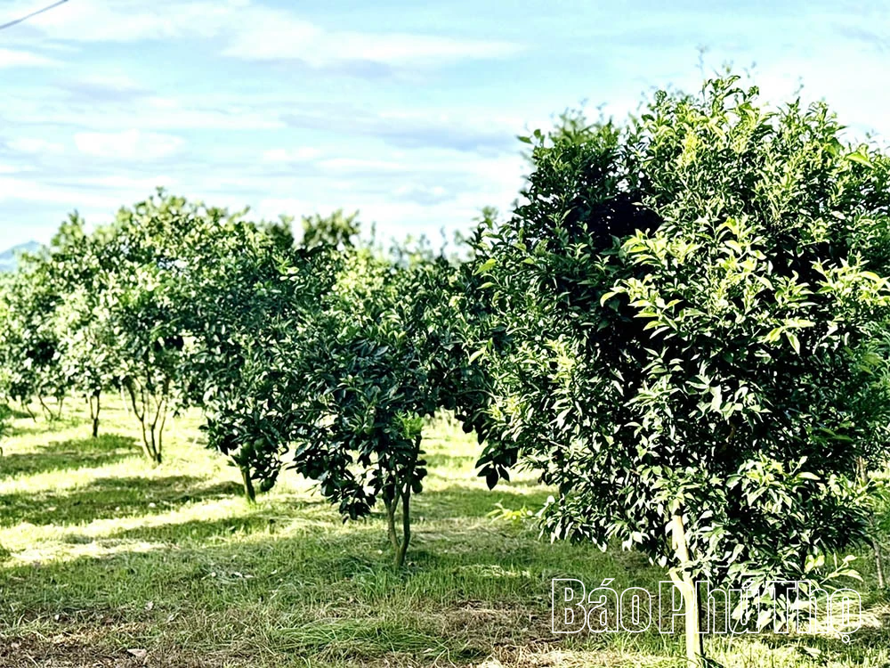 Phạm Trung Kiên – Cán bộ đoàn năng nổ, tiên phong