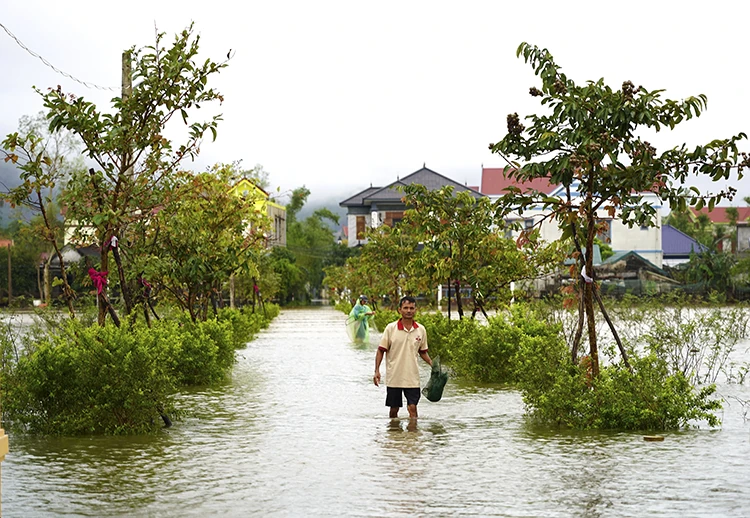 Thời tiết ngày 1/11: Mưa lớn diện rộng ở Trung Bộ, Bắc Bộ trời lạnh và có nơi rét