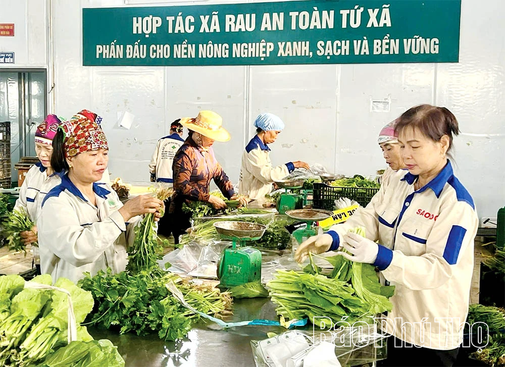 Nông nghiệp hữu cơ - Xu thế tất yếu của nông nghiệp hiện đại