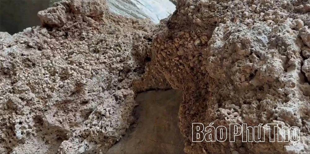 Về hang xóm Trại khám phá cuộc sống của người tiền sử