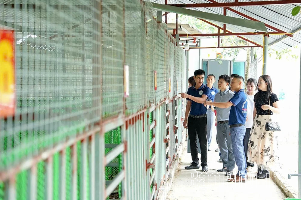 Khánh thành Trang trại chăn nuôi hươu tập trung