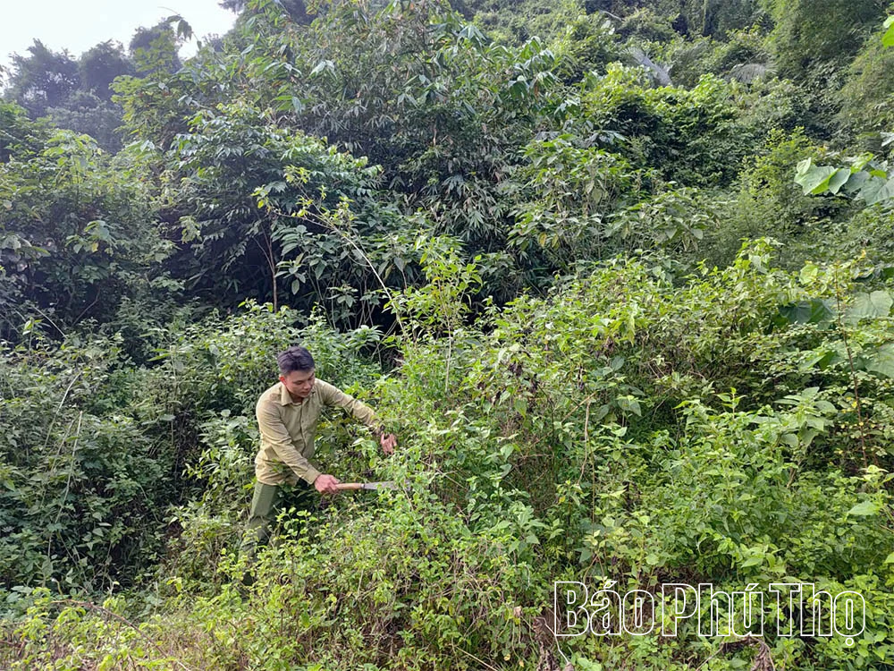 Động lực để cộng đồng bảo vệ và phát triển rừng