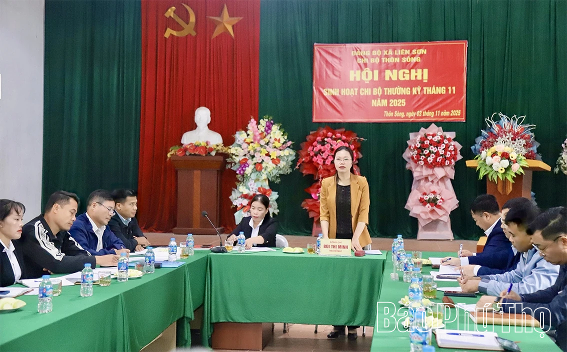 Phó Bí thư Tỉnh uỷ Bùi Thị Minh dự sinh hoạt chi bộ tại xã Liên Sơn