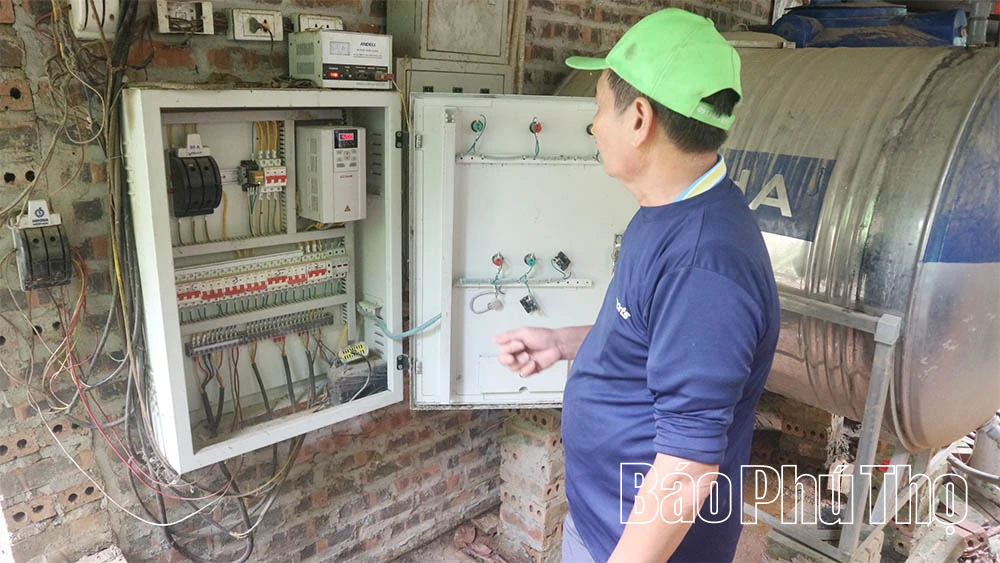 Làm giàu từ mô hình nuôi gà đẻ trứng ứng dụng công nghệ cao