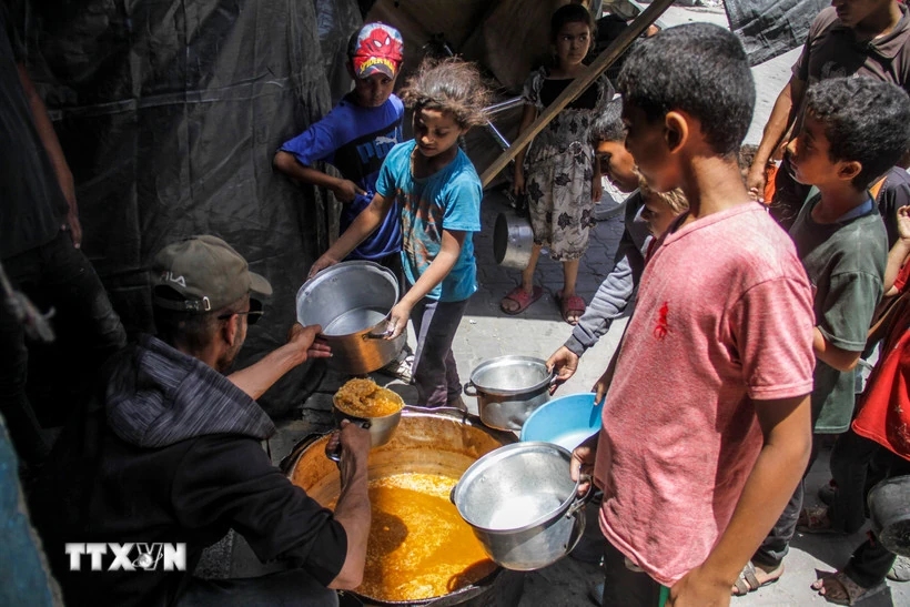 WHO khôi phục các dịch vụ y tế cơ bản và tiêm chủng cho trẻ em tại Gaza