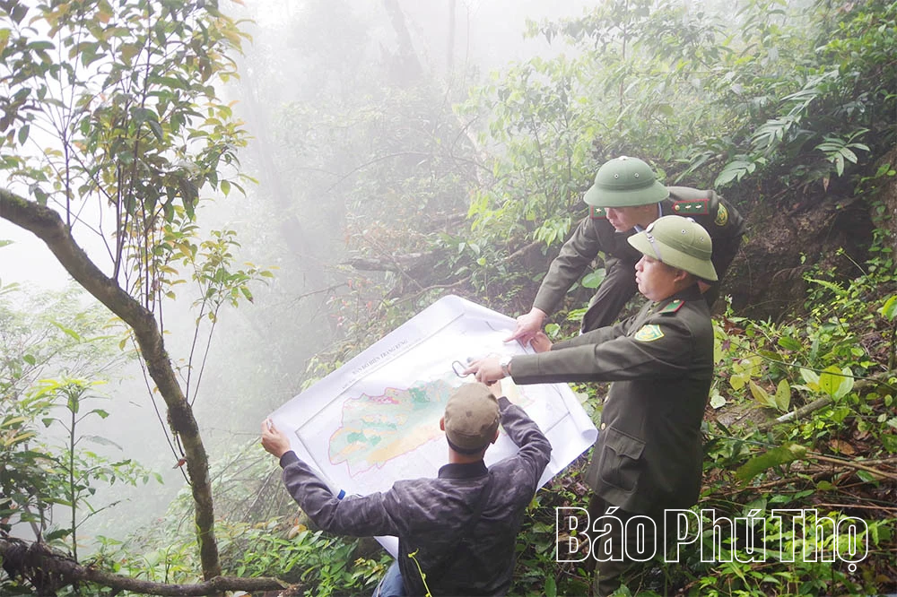 Từ ý thức người dân đến hiệu quả quản lý rừng bền vững