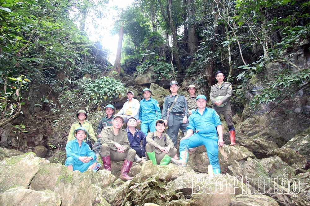 Từ ý thức người dân đến hiệu quả quản lý rừng bền vững