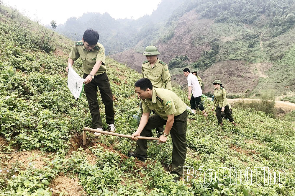 Từ ý thức người dân đến hiệu quả quản lý rừng bền vững