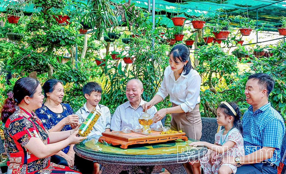 Gen Z “trồng vàng” trên núi