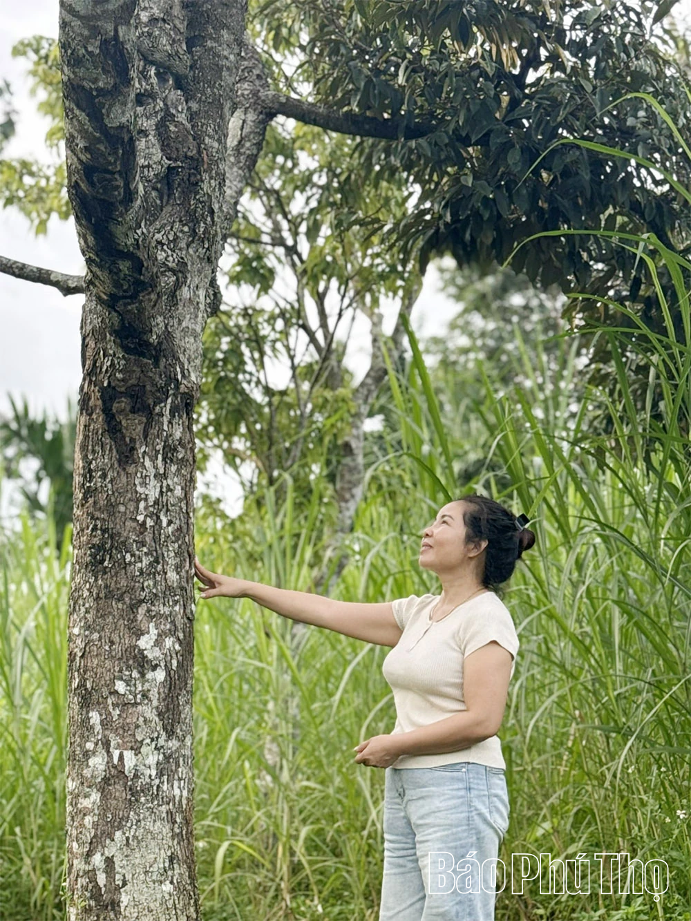 Người Mường Phú Thọ ở Tây Nguyên