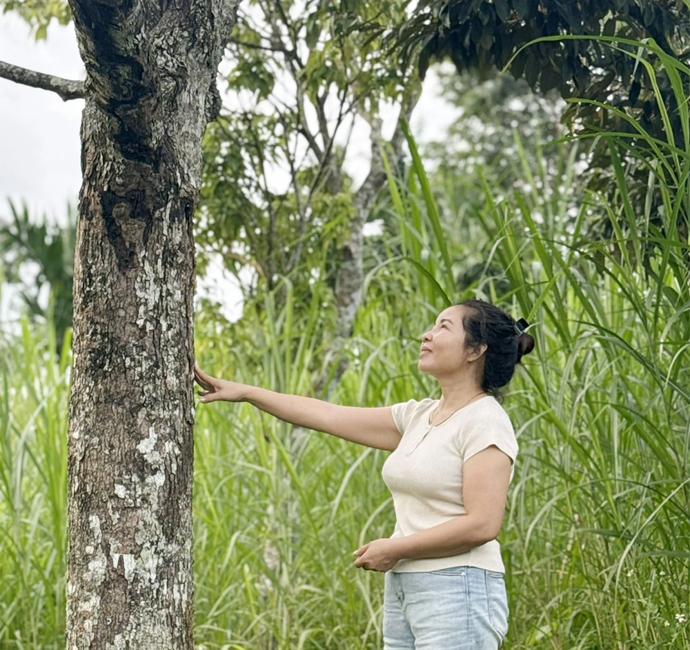 Người Mường Phú Thọ ở Tây Nguyên