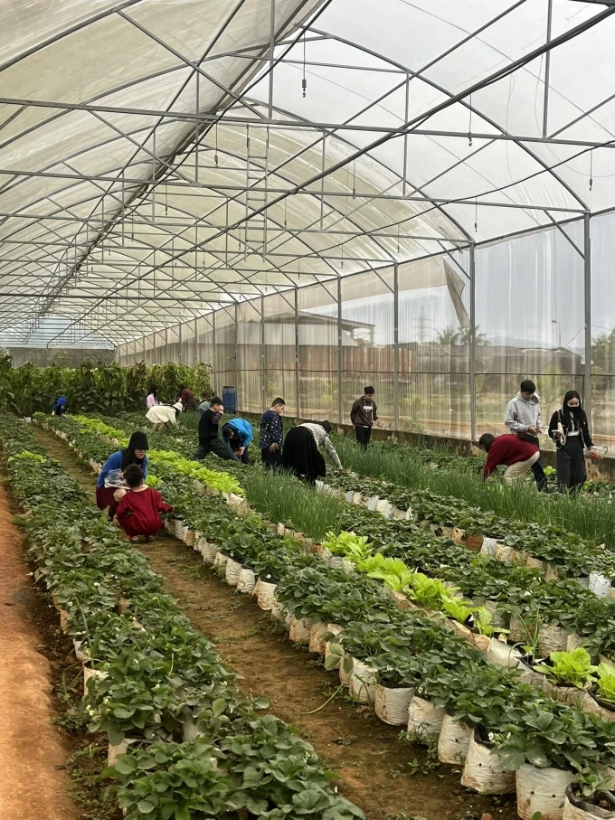 Biến khu đất hoang thành mô hình du lịch nông trại hút khách