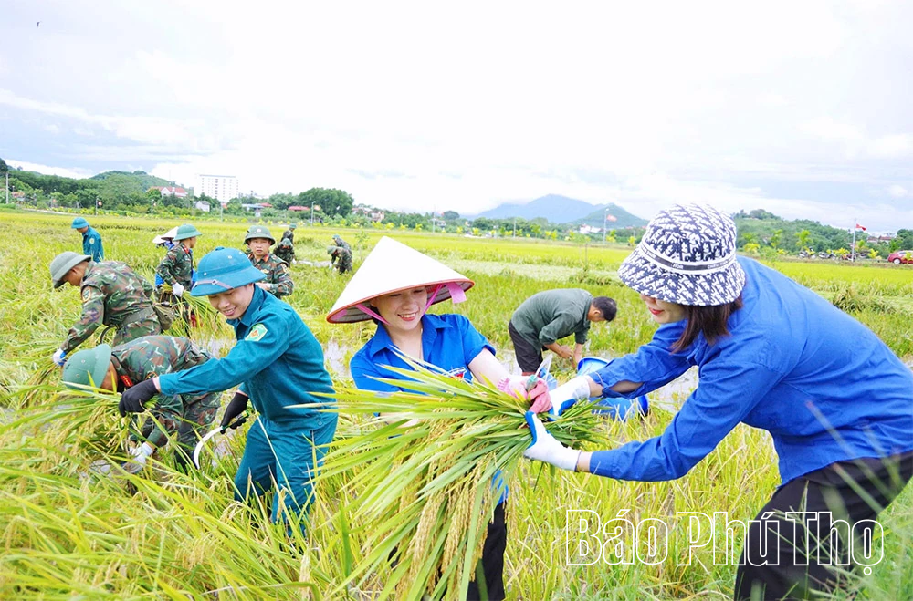 Phát huy sức mạnh đoàn kết toàn dân