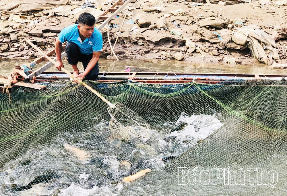 Săn “ngũ quý hà thủy”