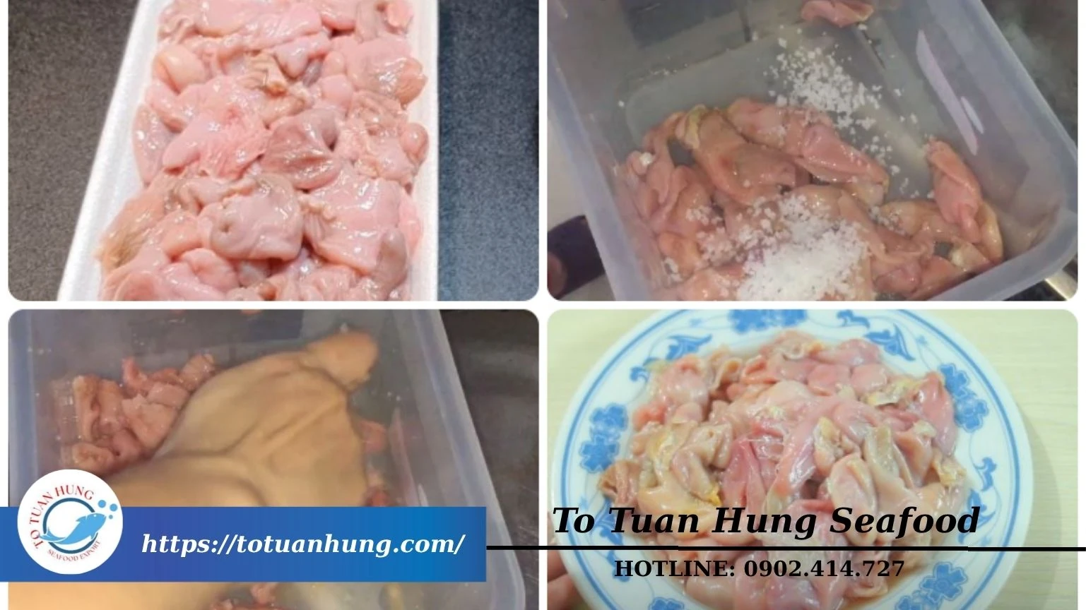 Bao tử cá ba sa – Niềm tự hào xuất khẩu của Tô Tuấn Hưng Seafood