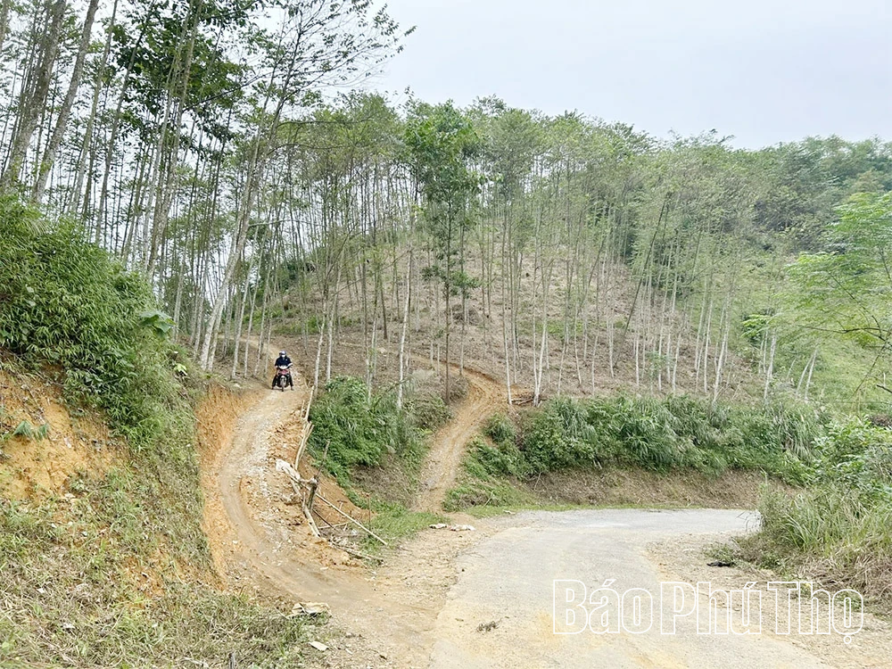 Tỉnh lộ 433 bị “cắt đứt”, hàng nghìn hộ dân mong mỏi sớm thông xe
