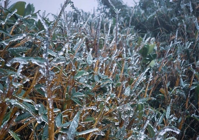 Đỉnh núi cao ở Lào Cai, Lai Châu xuất hiện băng giá