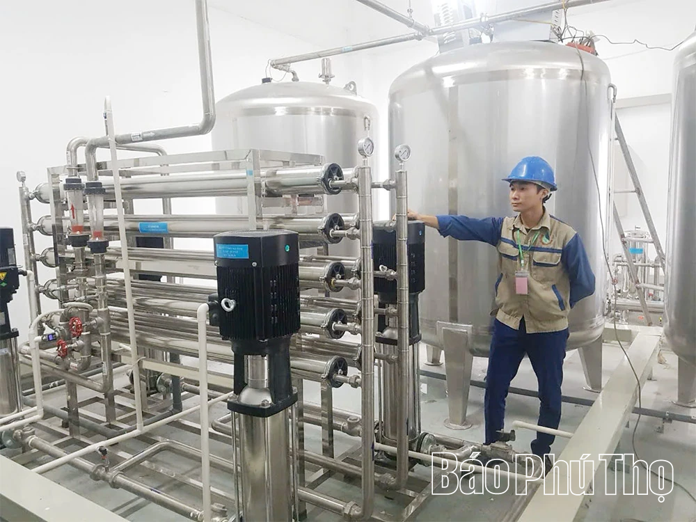 CMX Việt Nam - Vì cuộc sống xanh