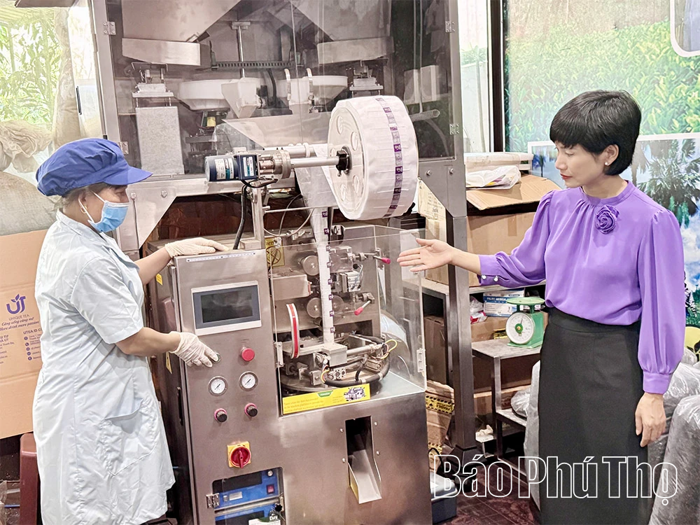 Nơi nào có ý chí, nơi đó có con đường