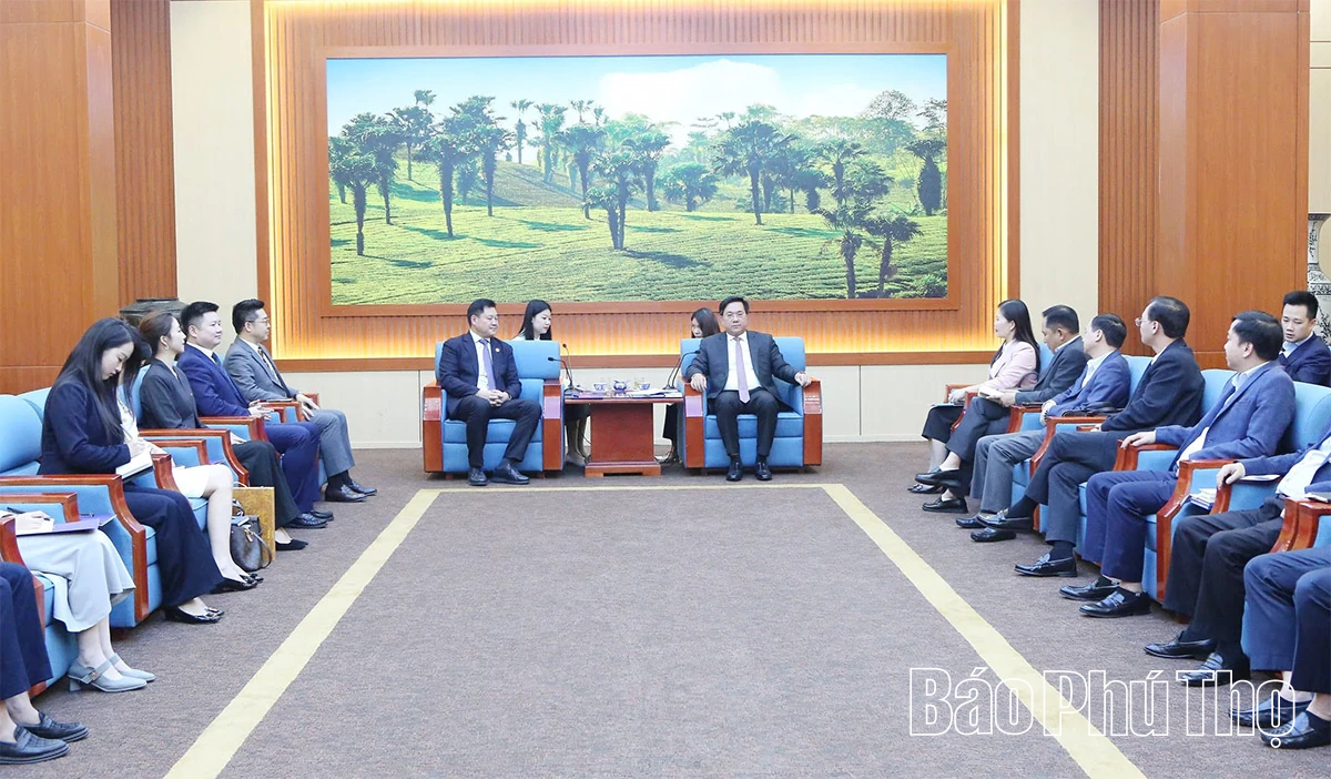 Chủ tịch UBND tỉnh Trần Duy Đông làm việc với Tập đoàn Xây dựng Thái Bình Dương