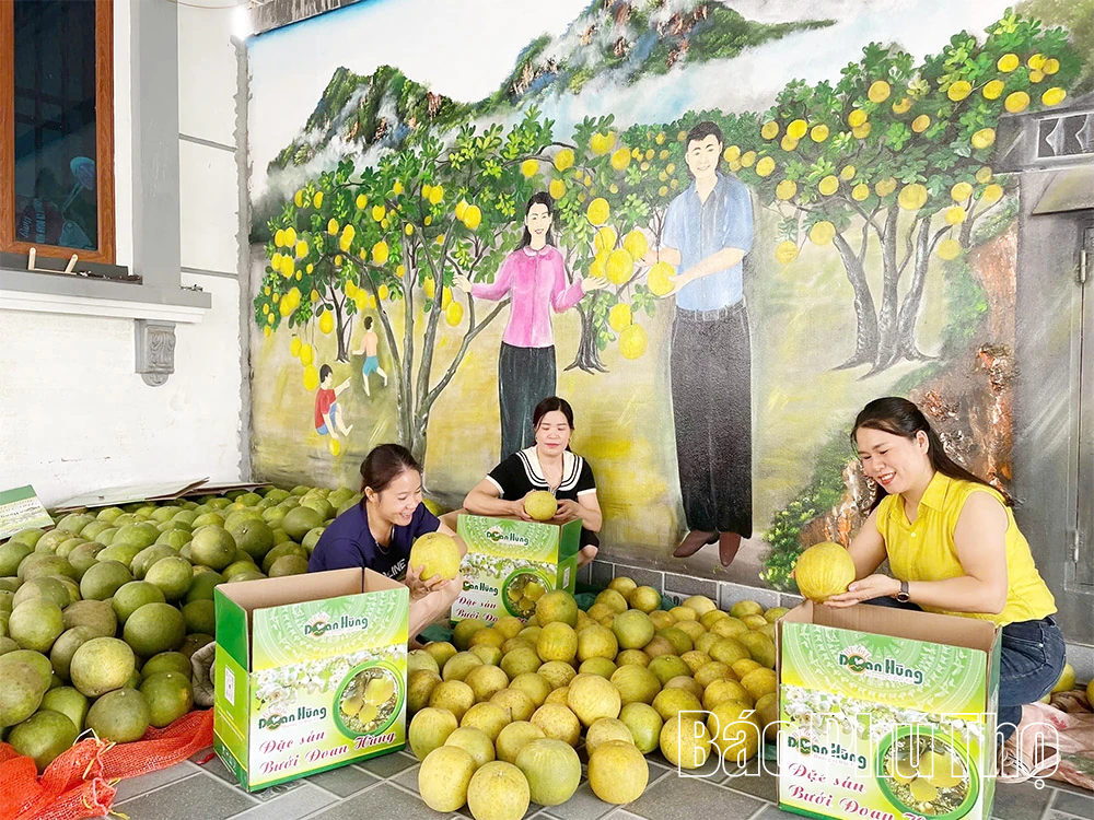 Những mô hình liên kết, tạo bước đột phá cho nông nghiệp