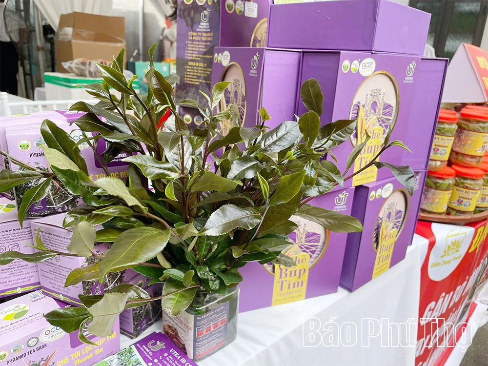 Những mô hình liên kết, tạo bước đột phá cho nông nghiệp