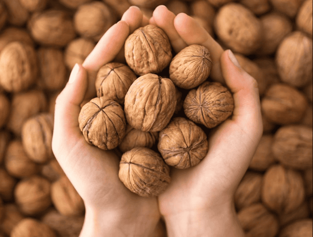 Hạt nhỏ, năng lượng lớn: Bí mật giúp hạt óc chó nuôi dưỡng trí não và tim khỏe