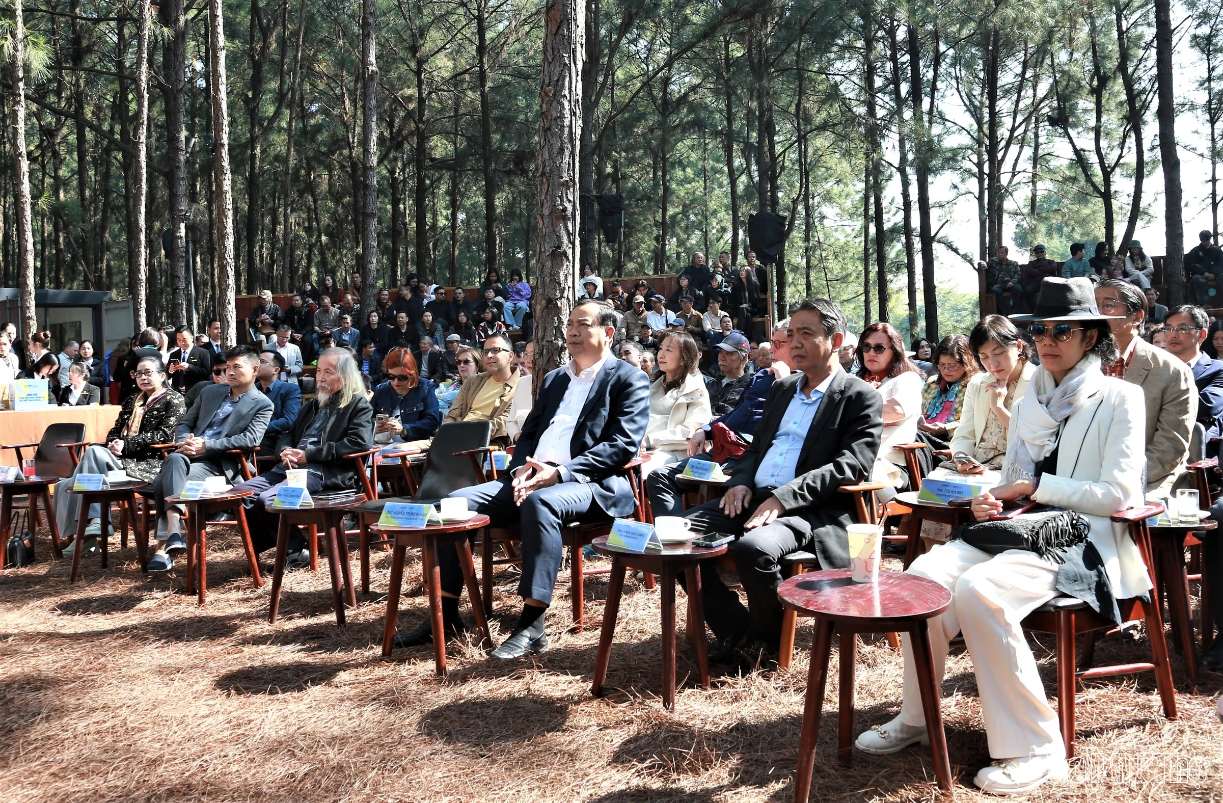 Flamingo Holdings kỷ niệm 10 năm hành trình nghệ thuật trong rừng